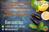 Ароматы и сырьё