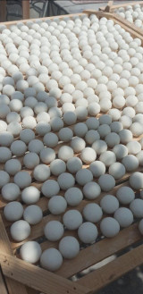 Ҳурматли тадбир