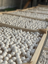 "Yummy" қурти —