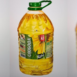 Россия давлатид