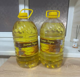 Алтын казань. М