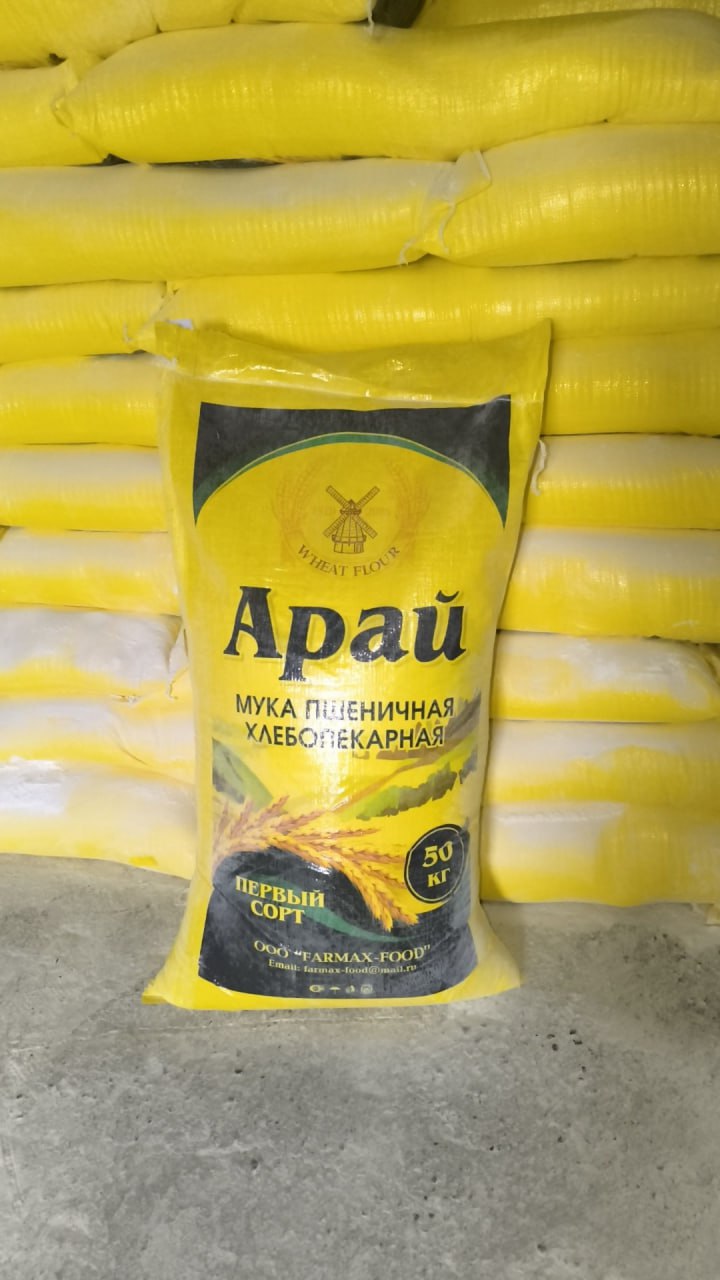 Тошкент шахрида